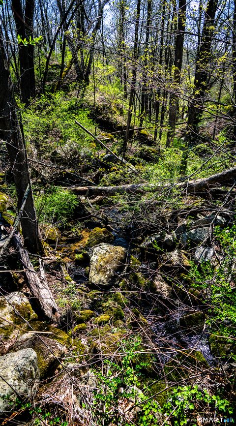 Tiny photo for Kent, CT 06757 (MLS # 24160643)