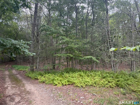 Photo of lot 29 Route 32, Franklin, CT 06254 (MLS # 24202853)
