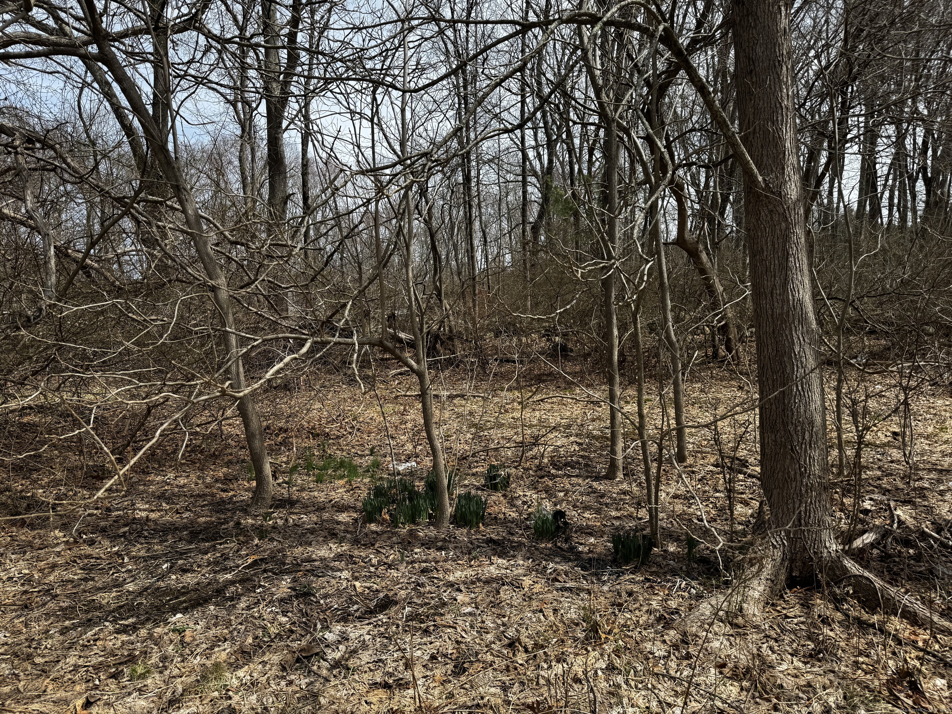 170 Lake Street, Plainfield, Connecticut image 2