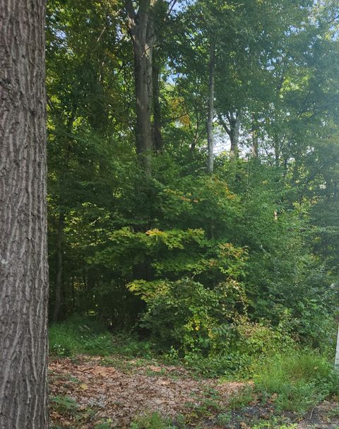 Waterbury Road Cheshire CT 06410