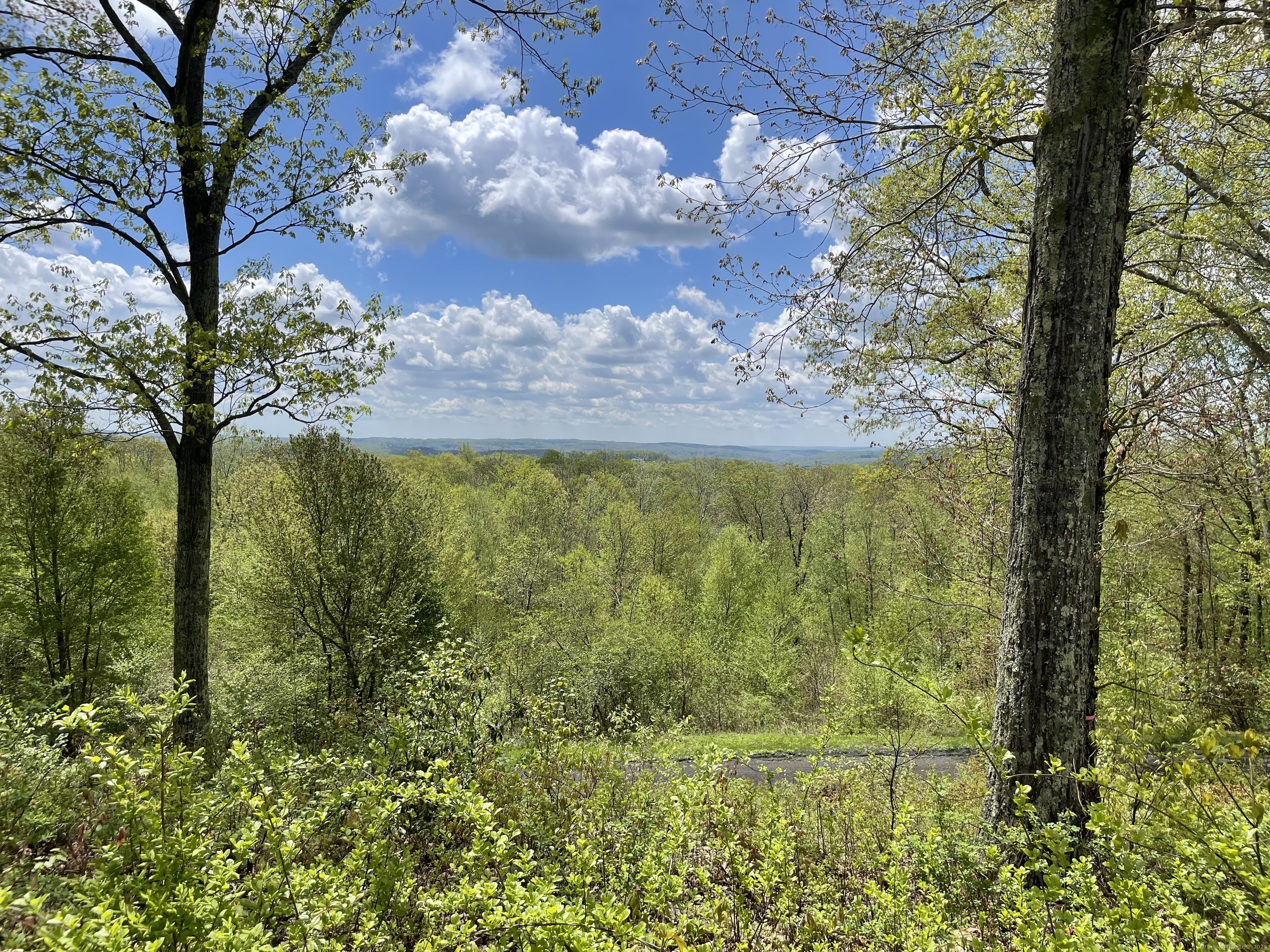 170 Rabbit Hill Road