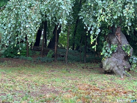 Tiny photo for 530 Bloomfield Avenue, Bloomfield, CT 06002 (MLS # 24189418)