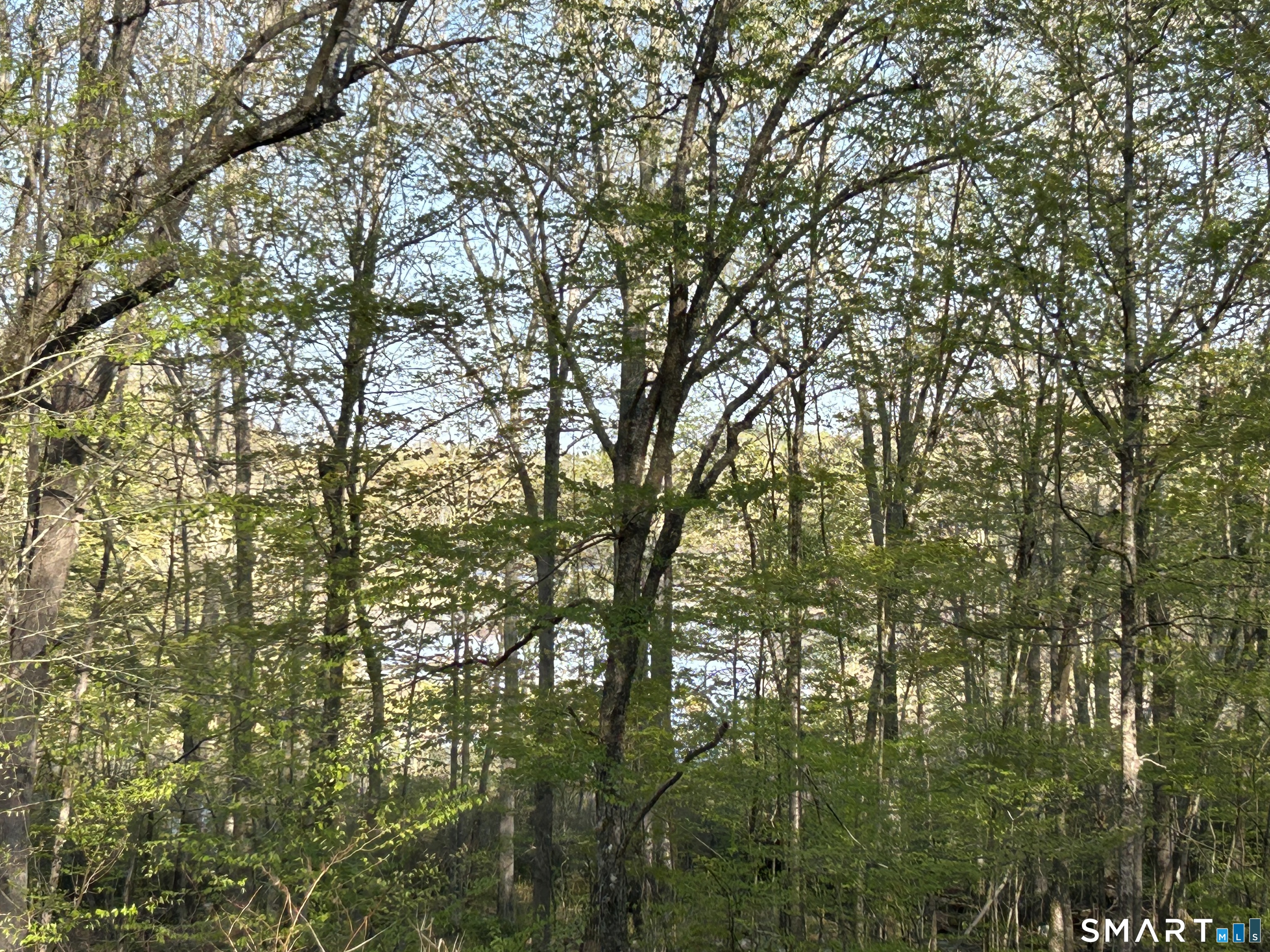 78 Salt Rock Road