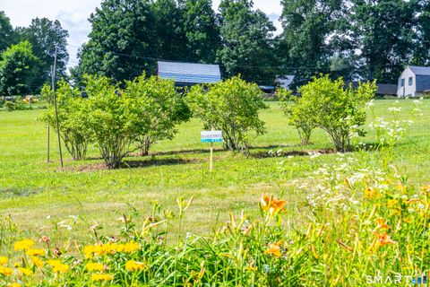 Tiny photo for 29 Braaten Hill Road, Woodstock, CT 06281 (MLS # 24160903)