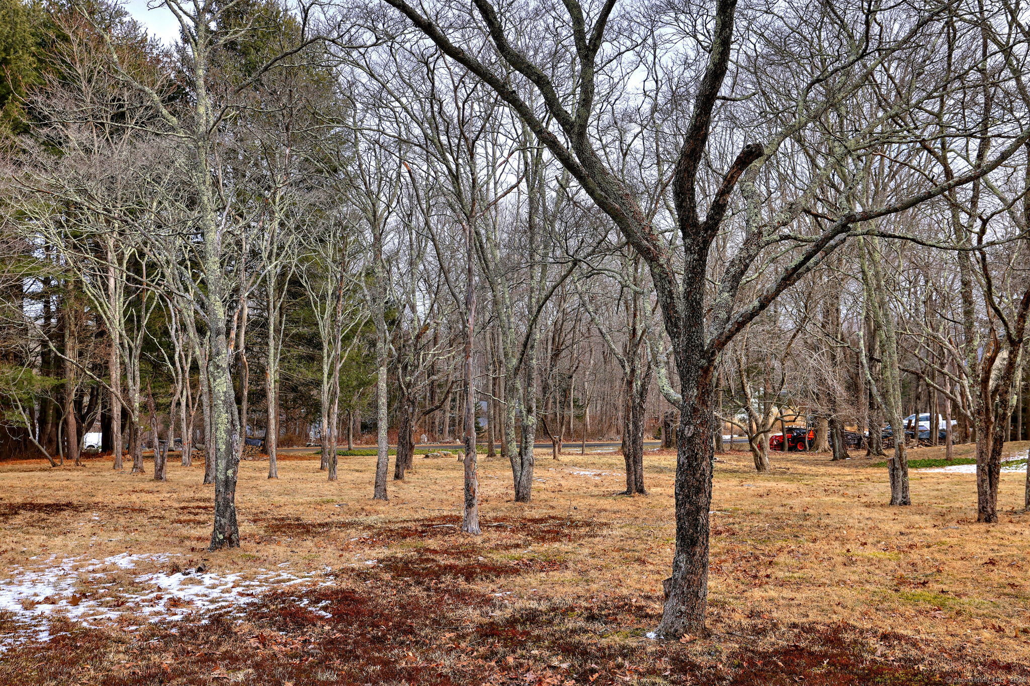 9 Dogwood Knoll Road, Killingworth, Connecticut image 9