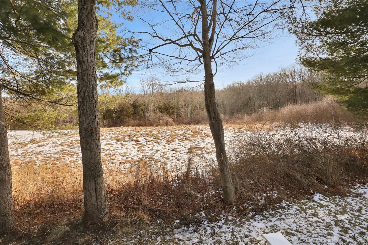 4 Countryside Lane #4, Middletown, Connecticut image 19