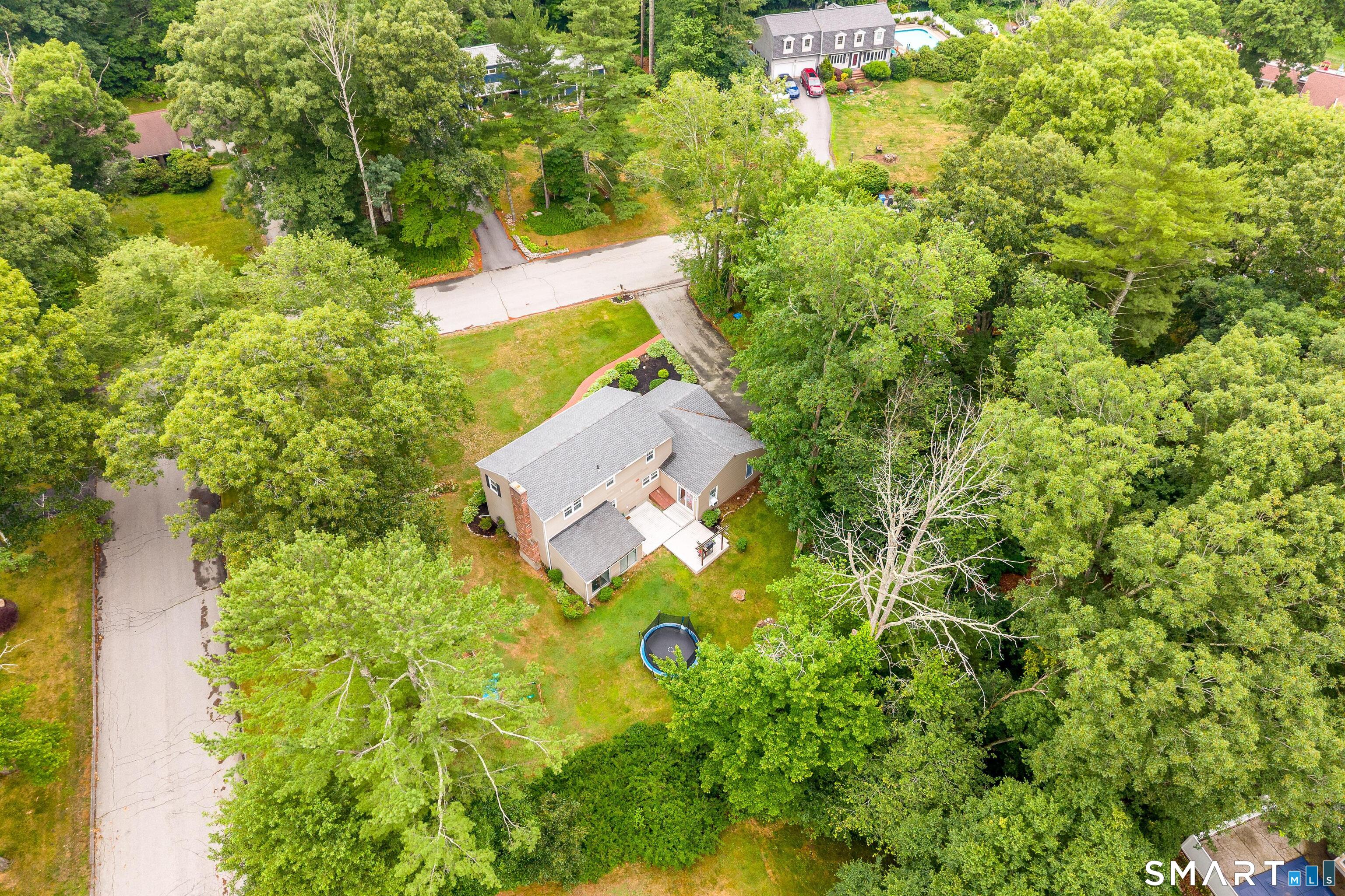 53 Colleen Street