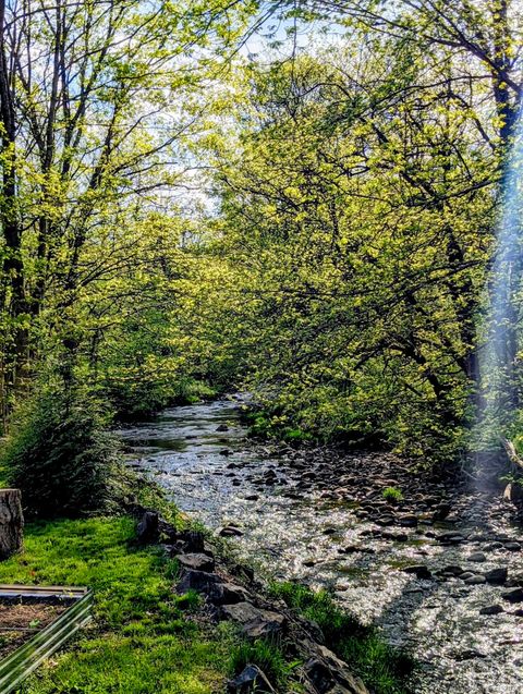 Tiny photo for 10 Hazel Plain Road, Woodbury, CT 06798 (MLS # 24143427)