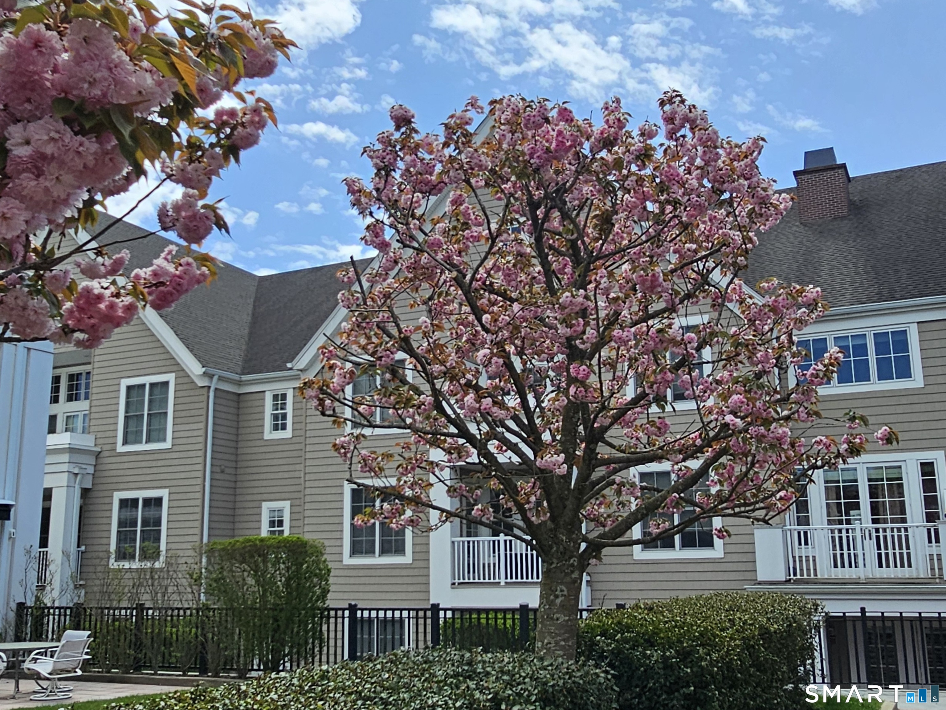 77 Havemeyer Lane 310