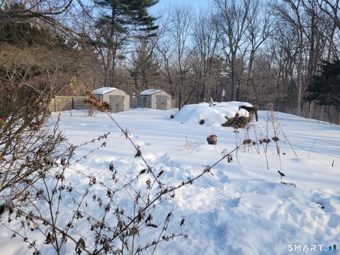 Tiny photo for 41 E Granby Road, Granby, CT 06035 (MLS # 24154810)