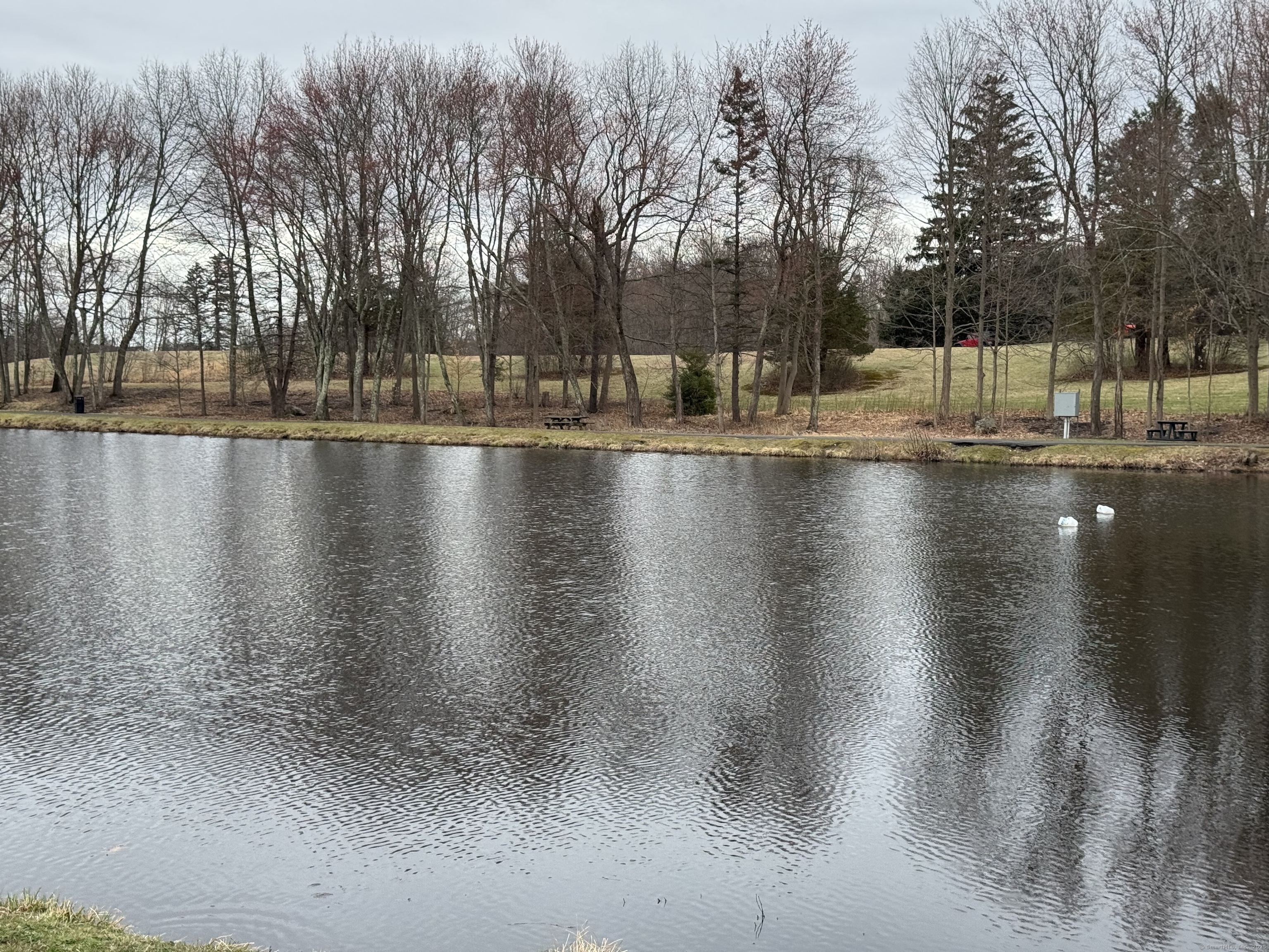 65 Round Tree Drive #3, Naugatuck, Connecticut image 34