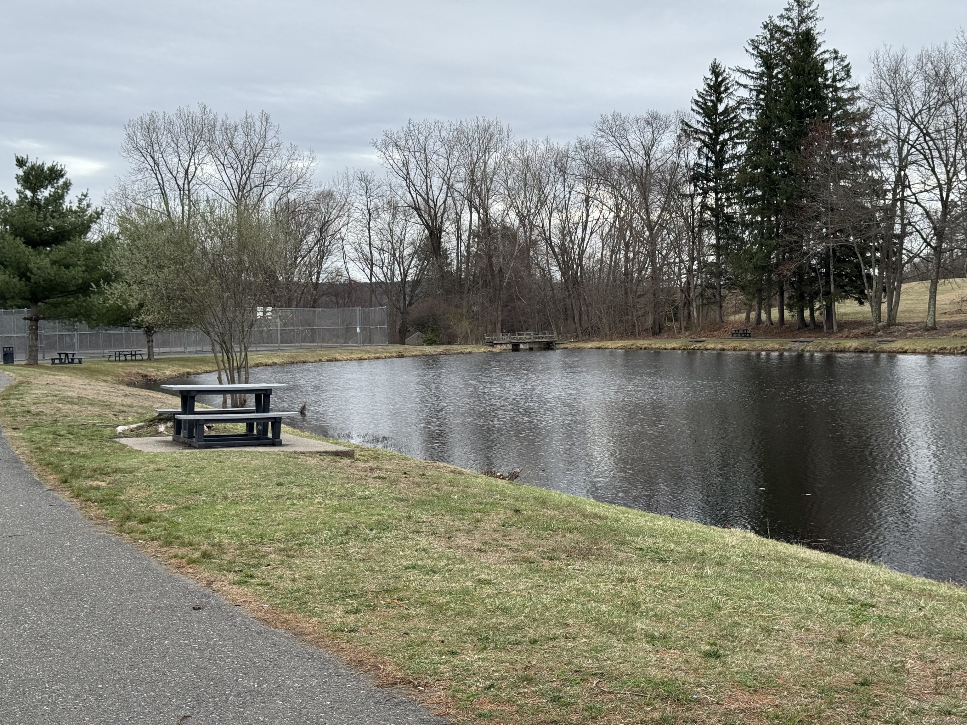 65 Round Tree Drive #3, Naugatuck, Connecticut image 35