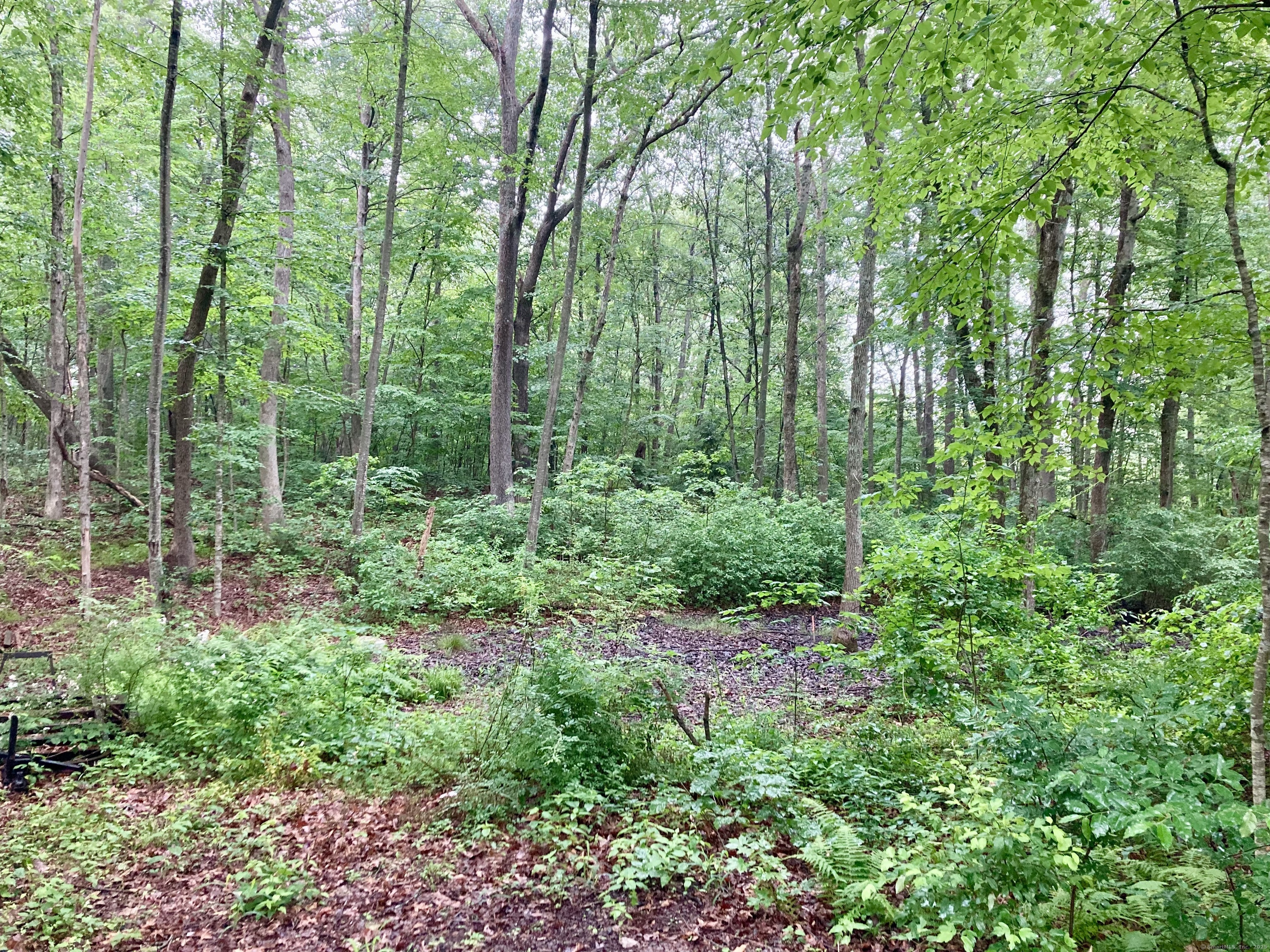 Kellys Corner, Lebanon, Connecticut image 6