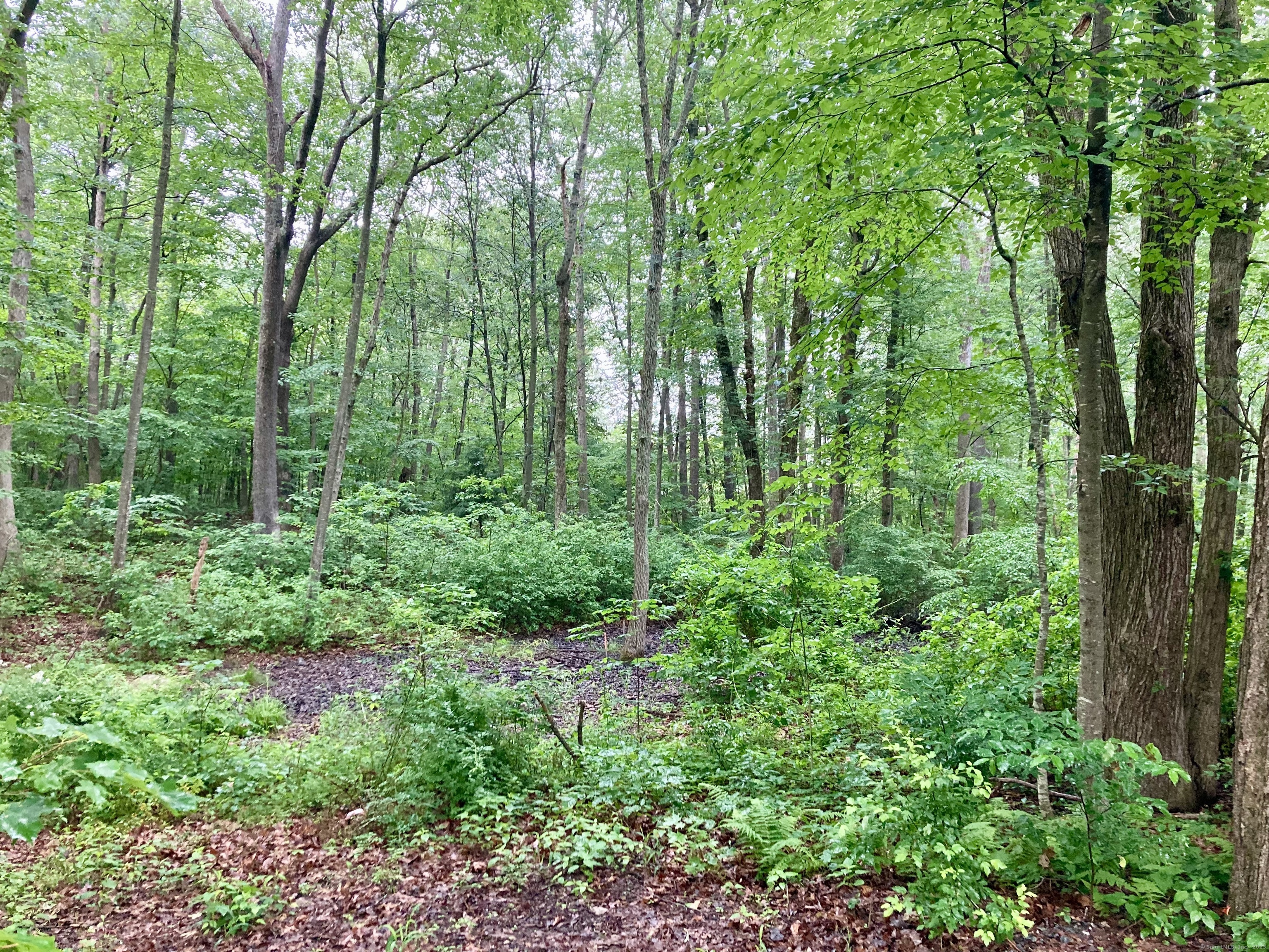 Kellys Corner, Lebanon, Connecticut image 4