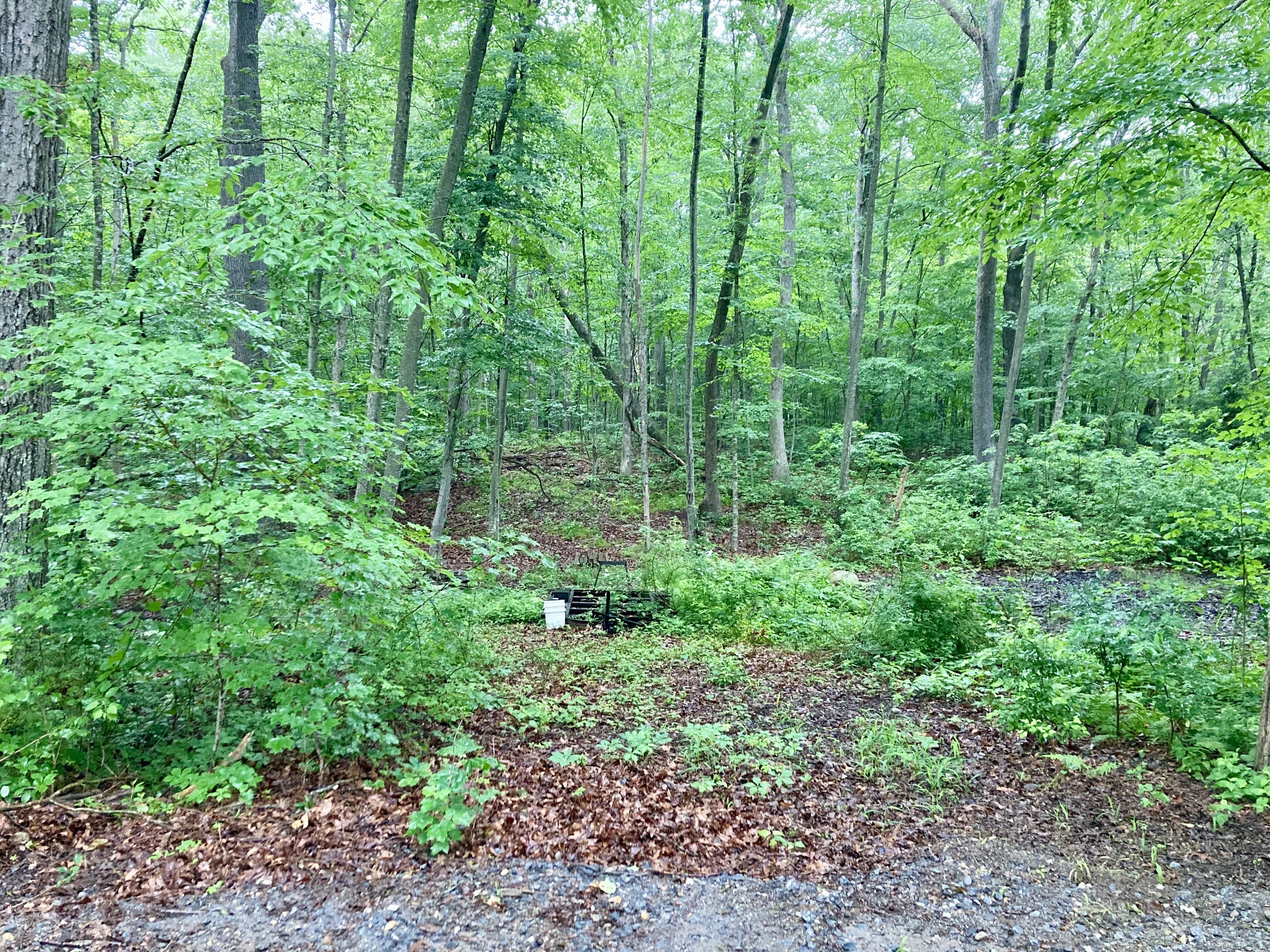 Kellys Corner, Lebanon, Connecticut image 5
