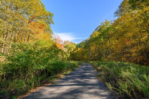 Tiny photo for Ives Court, Ridgefield, CT 06877 (MLS # 24135652)