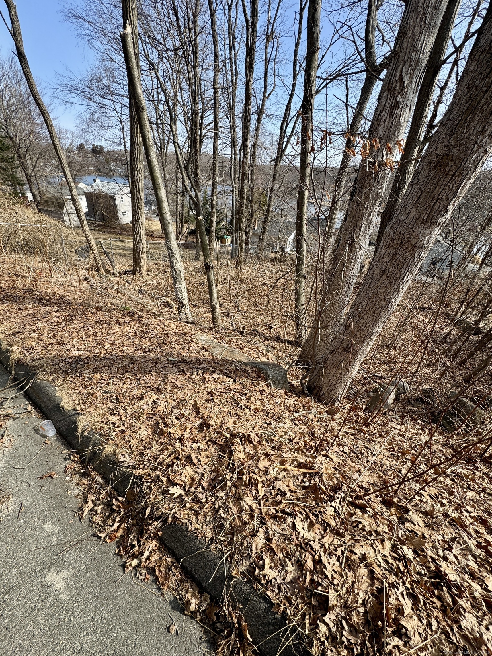 20 Lakeview Road, Plymouth, Connecticut image 3
