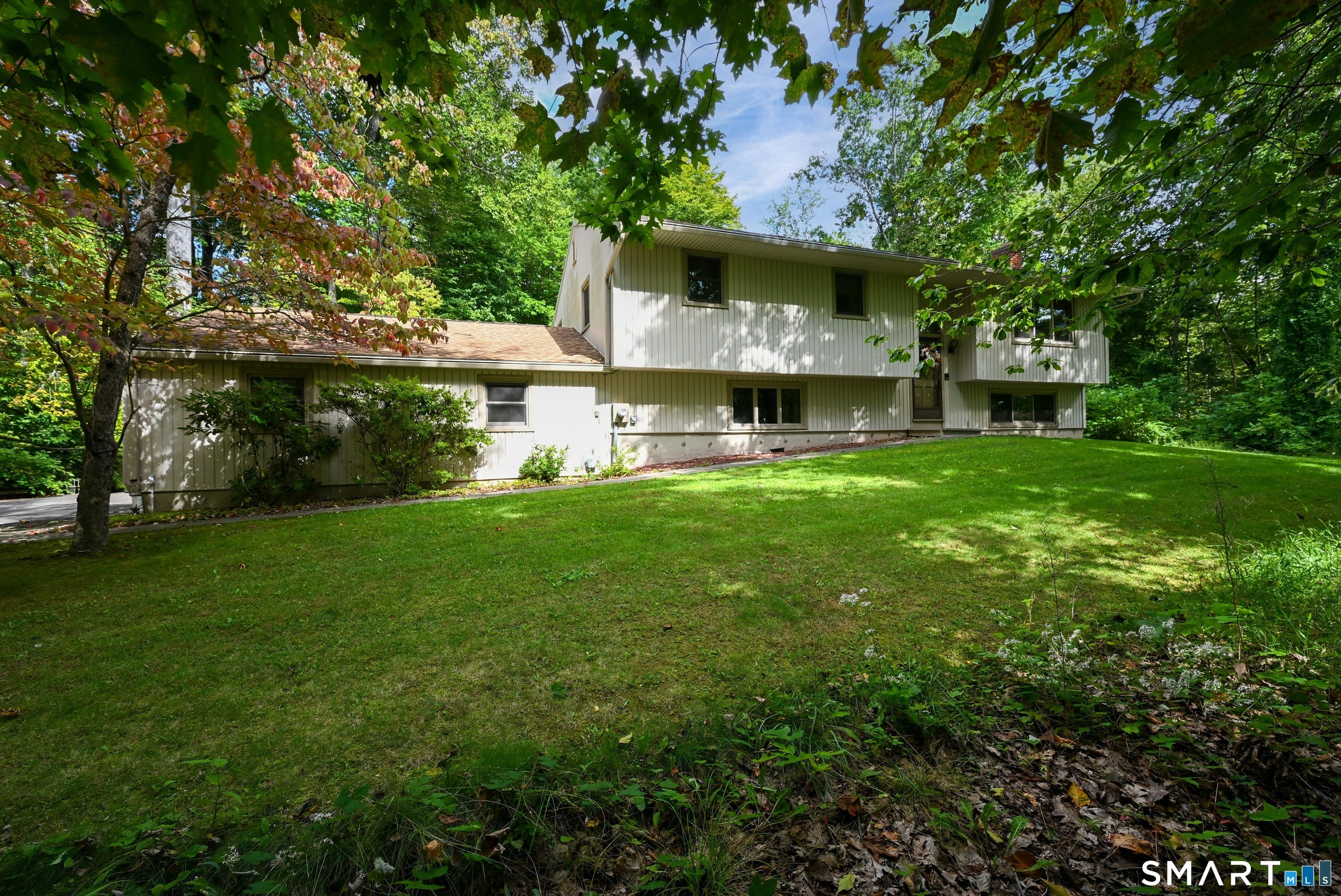19 Willow Run
