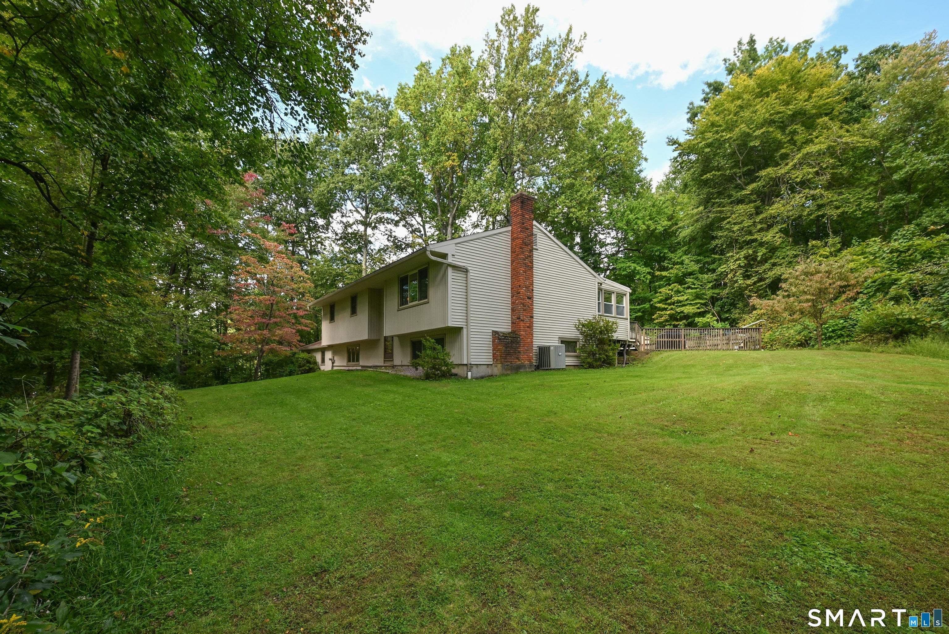 19 Willow Run