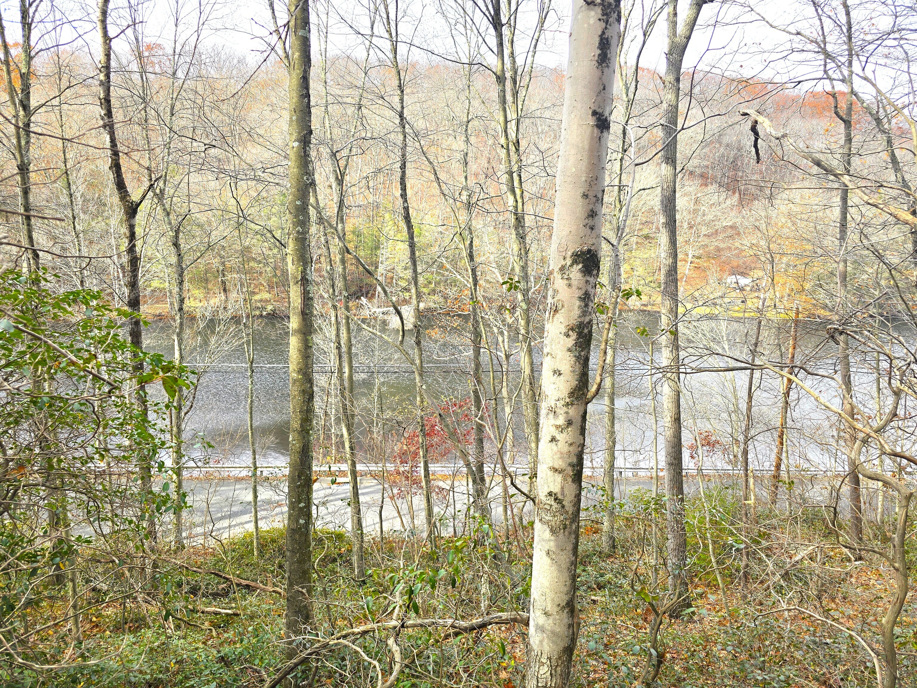 123 Todd Hollow Road