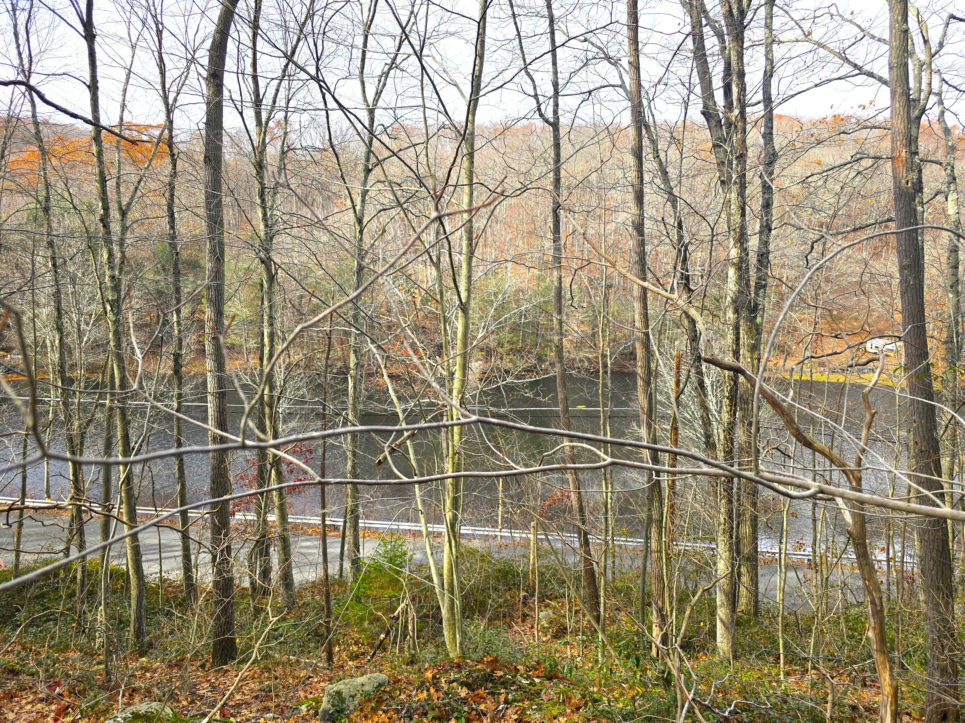 123 Todd Hollow Road