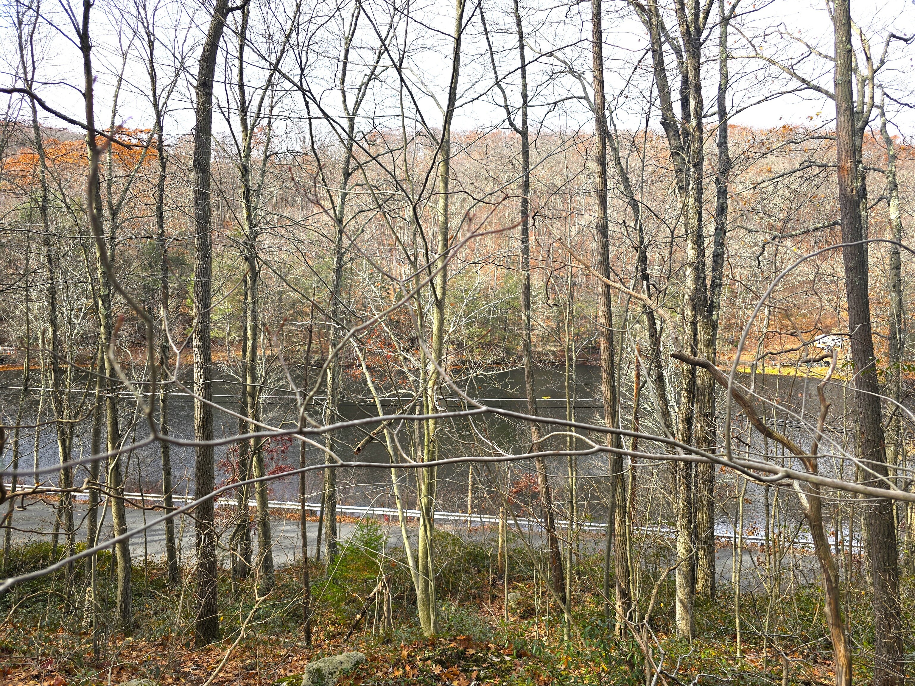 123 Todd Hollow Road