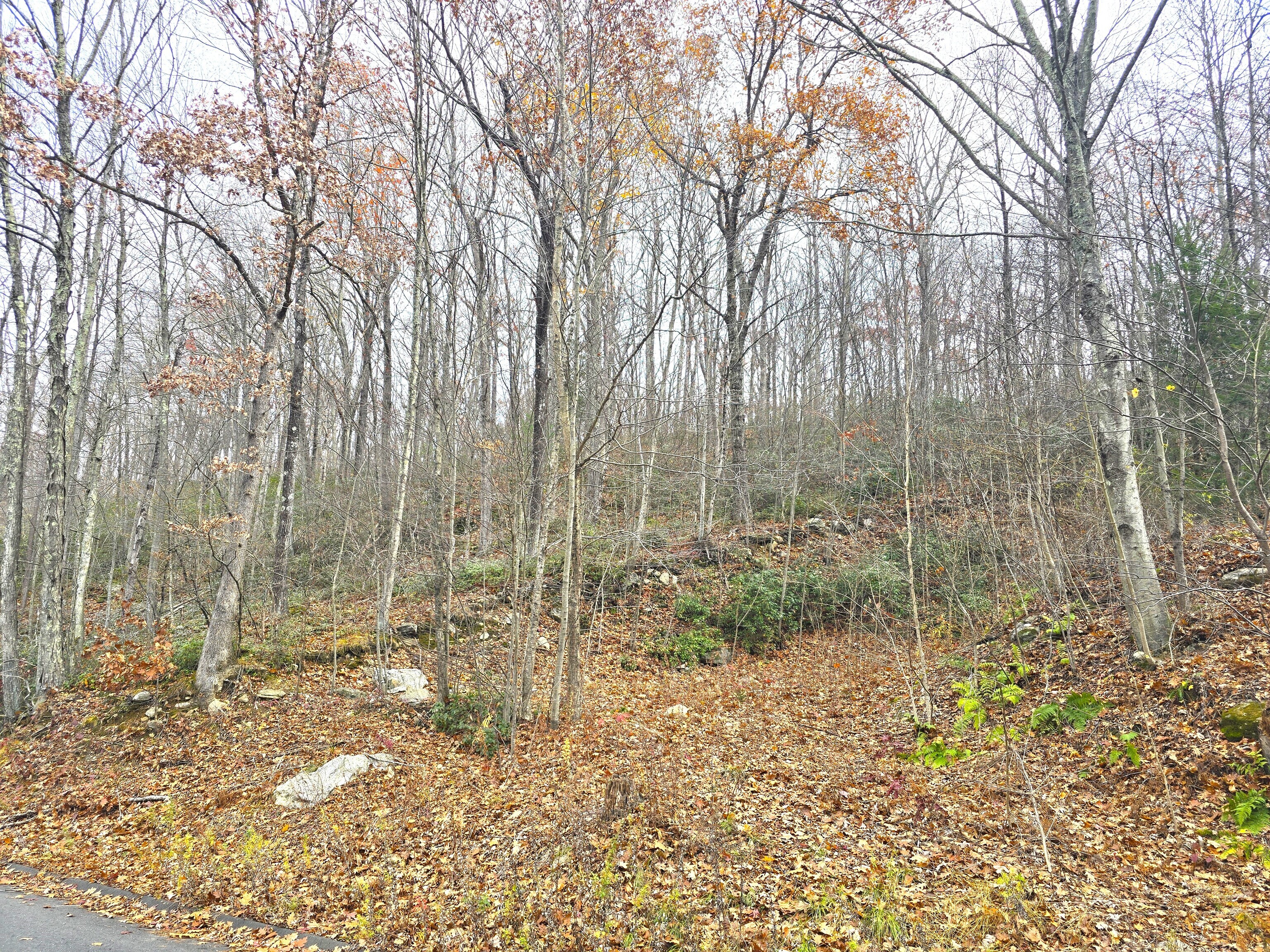 123 Todd Hollow Road