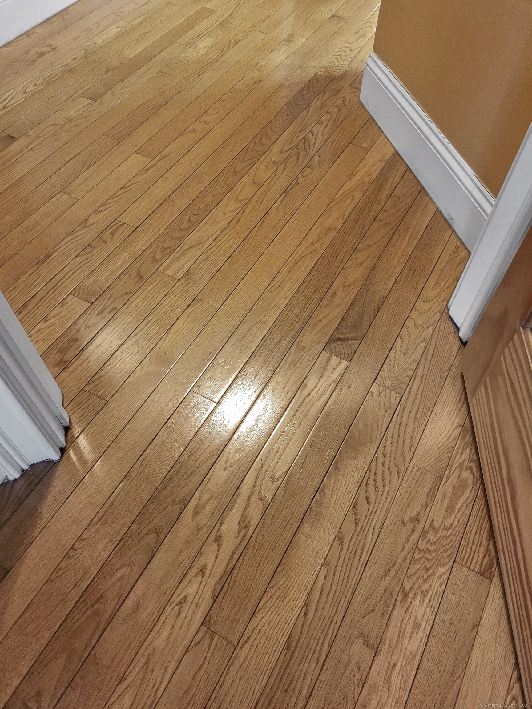 35 Querida Street, Bridgeport, Connecticut image 22