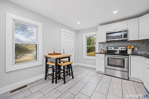 Tiny photo for 3 Hine Street, Seymour, CT 06483 (MLS # 24147742)