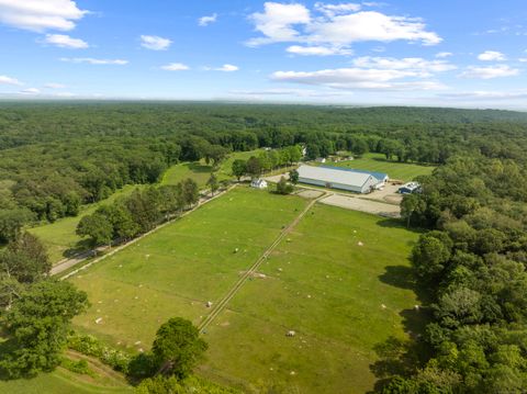 Tiny photo for 1189 Pequot Trail, Stonington, CT 06378 (MLS # 24103042)