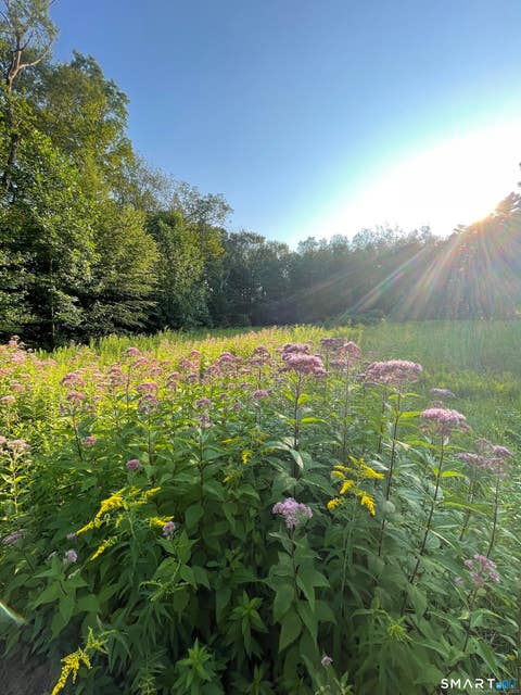 Tiny photo for 15 N Brook Street, Hampton, CT 06247 (MLS # 24195511)