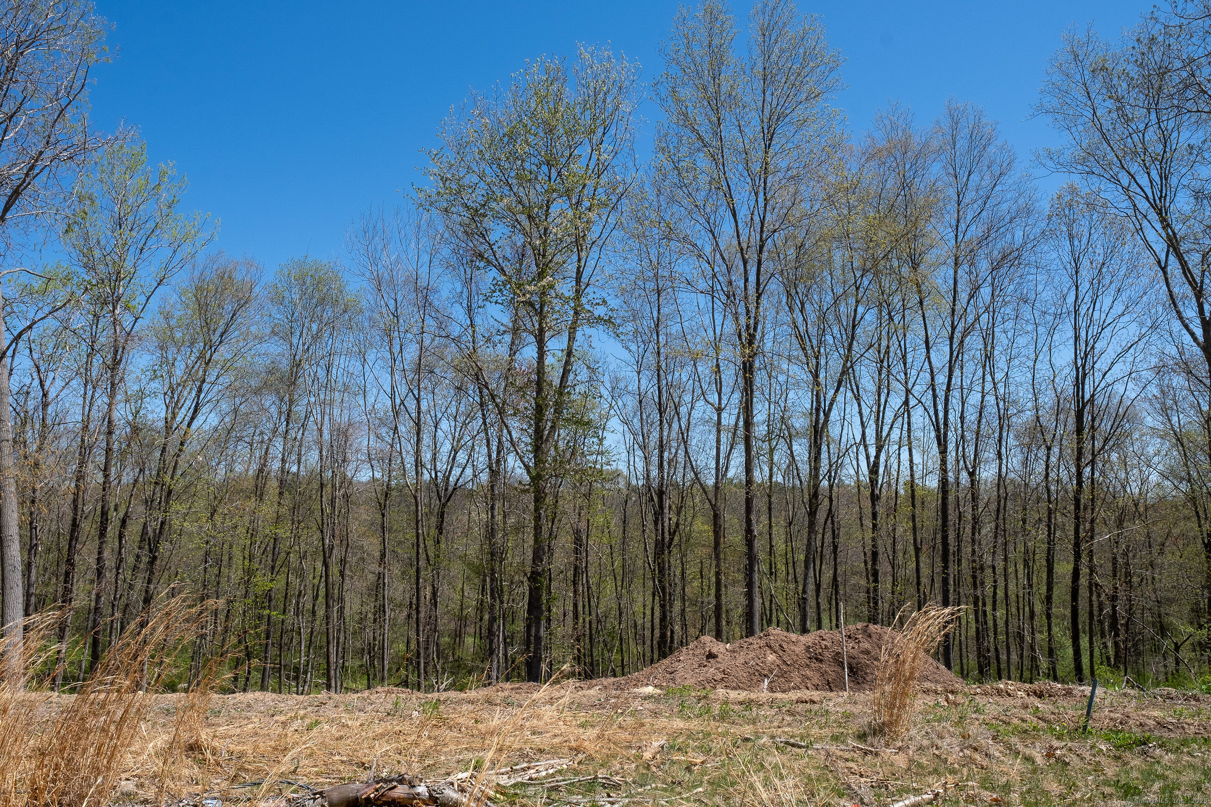 25 Wolf Hill (lot #42) Road, Coventry, Connecticut image 2