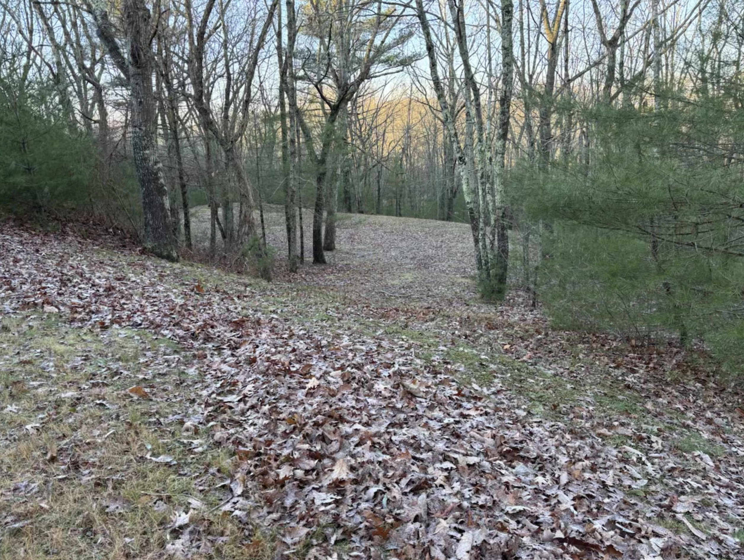 Griswold, Connecticut 06351, United States, 3 Bedrooms Bedrooms, ,3 BathroomsBathrooms,Residential,Active,250991