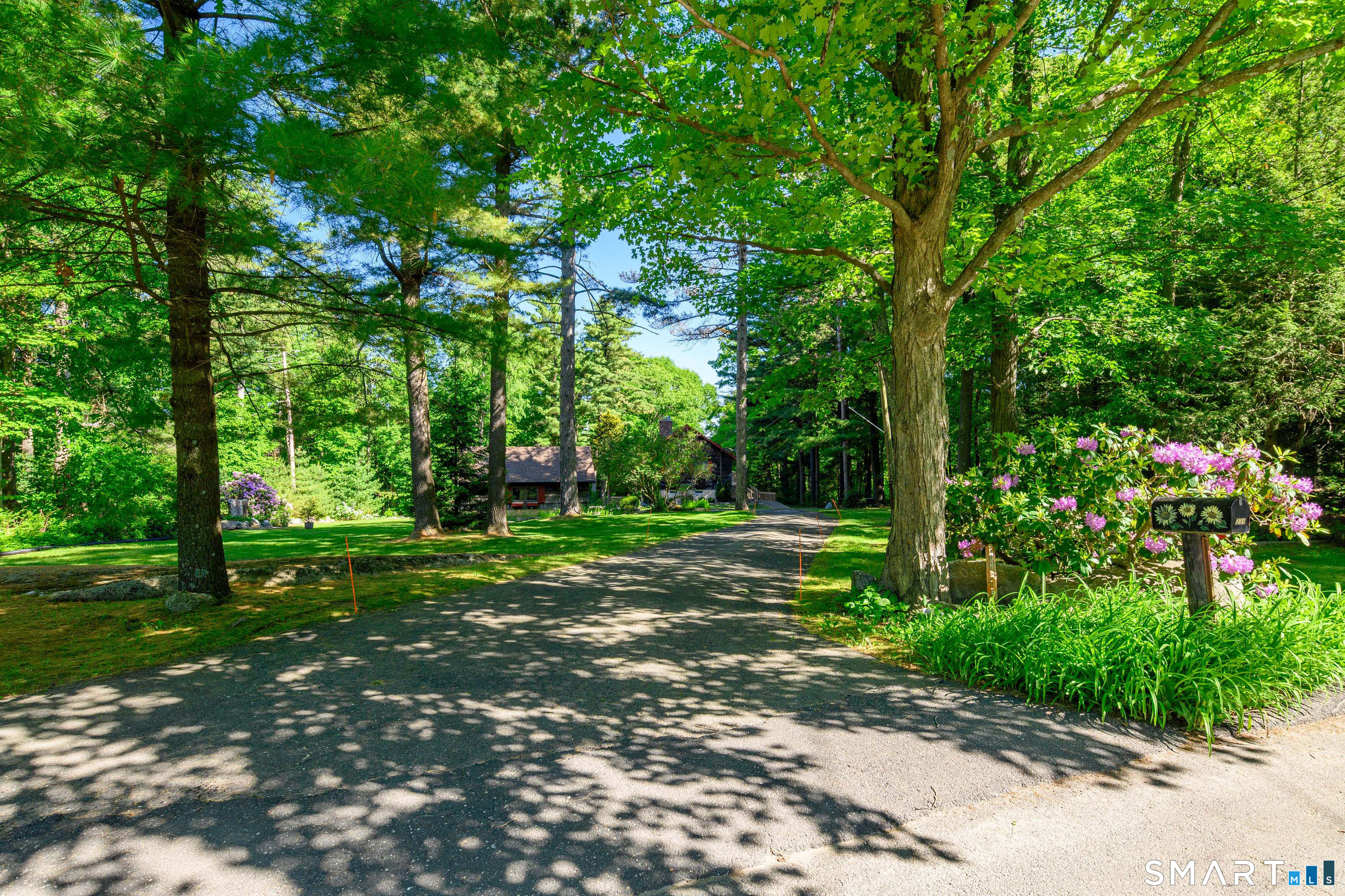 238 Pine Hill Road