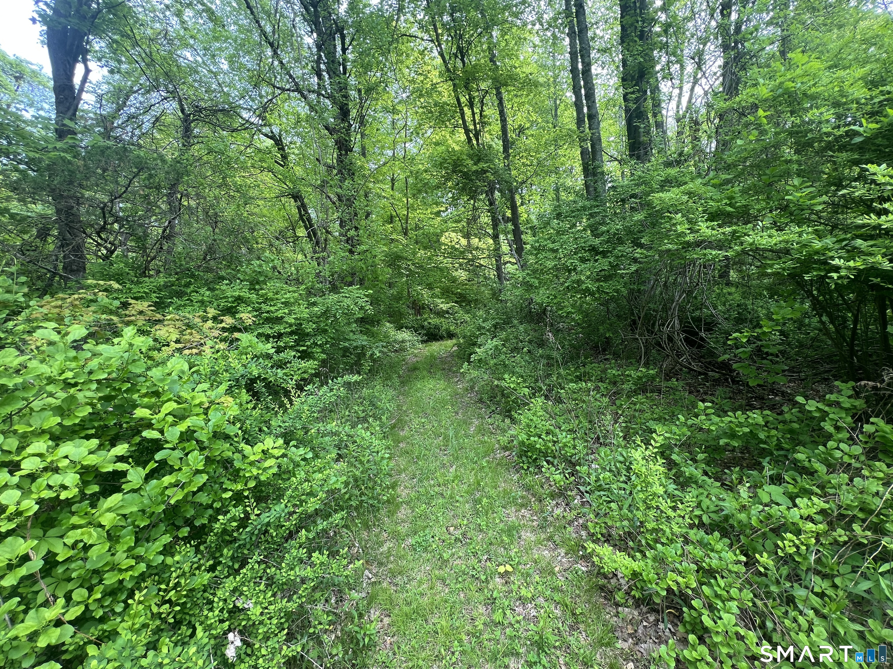 Spooner Hill Road