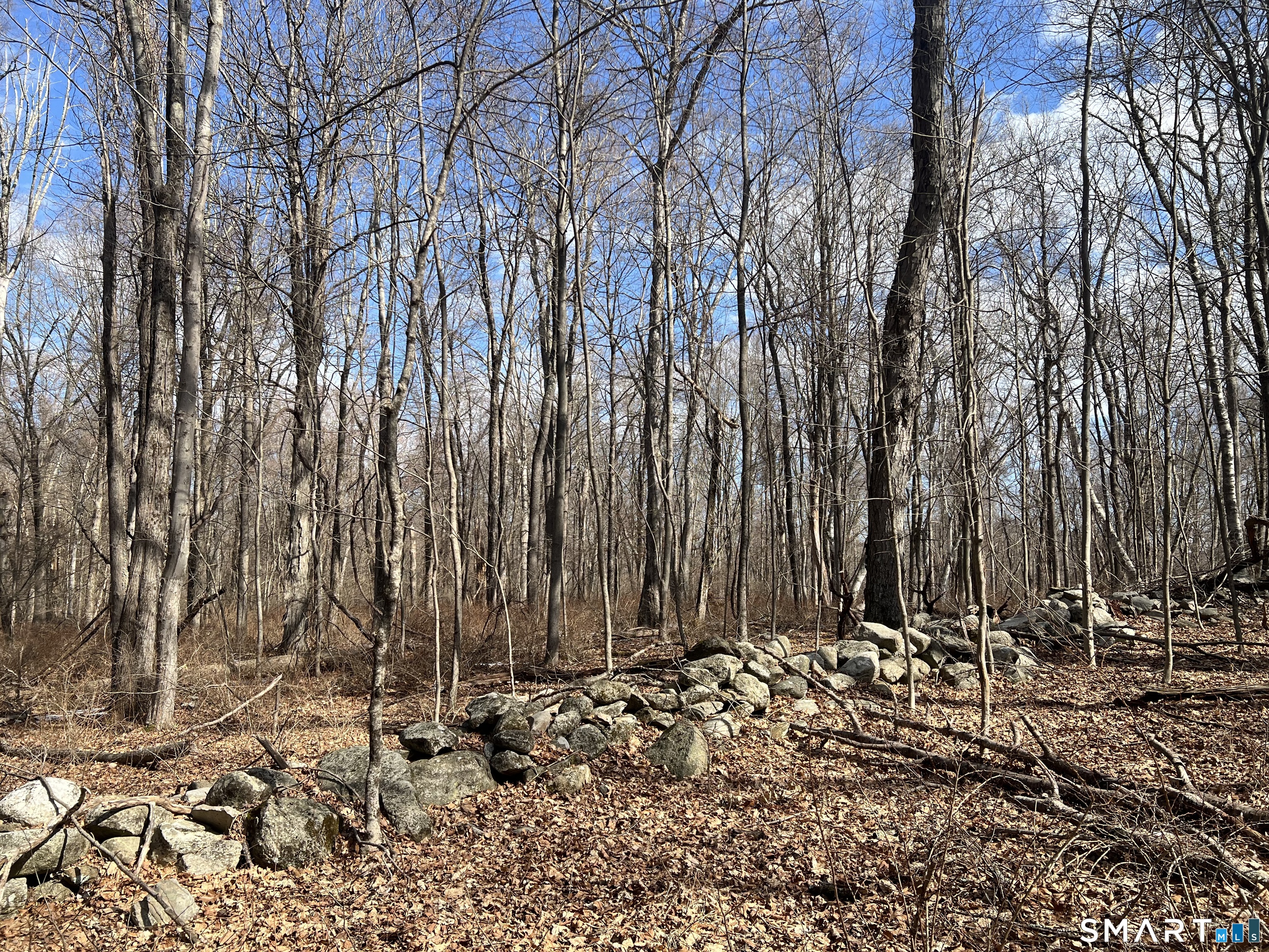 Spooner Hill Road