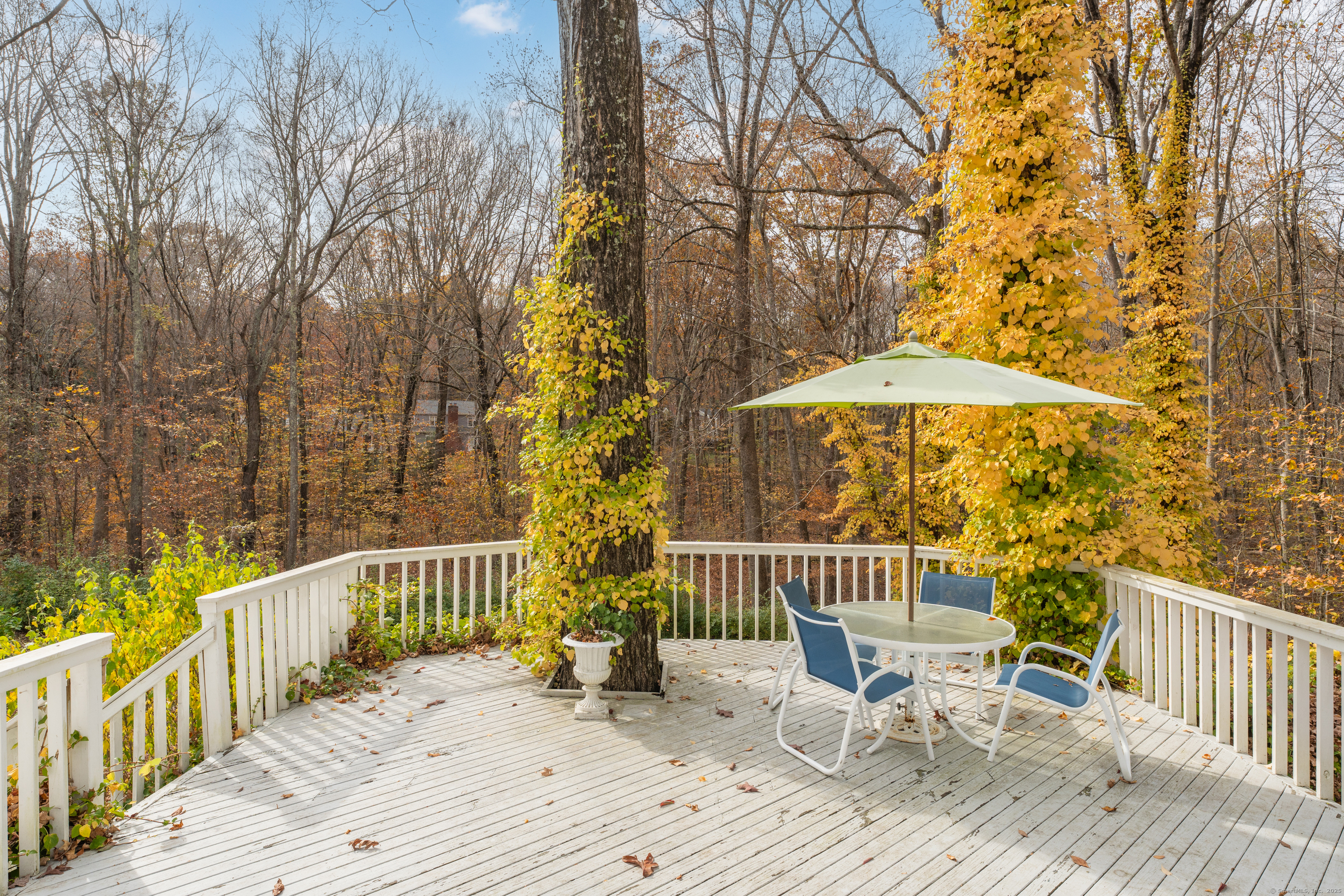 191 Concord Drive, Madison, Connecticut image 36