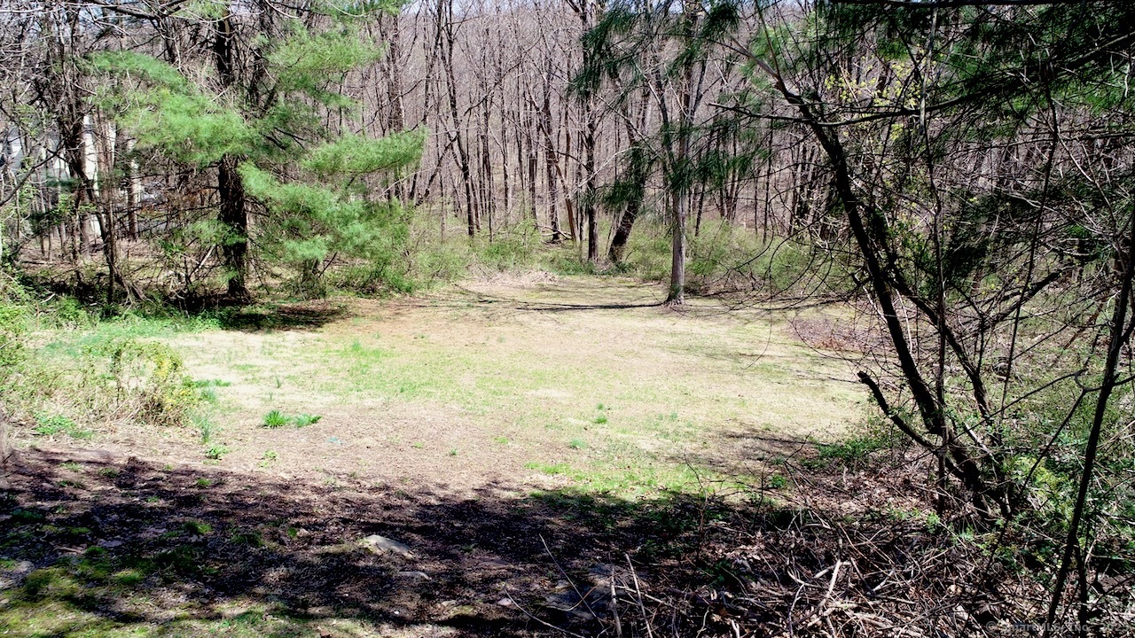 335 Paradise Avenue, Hamden, Connecticut image 27