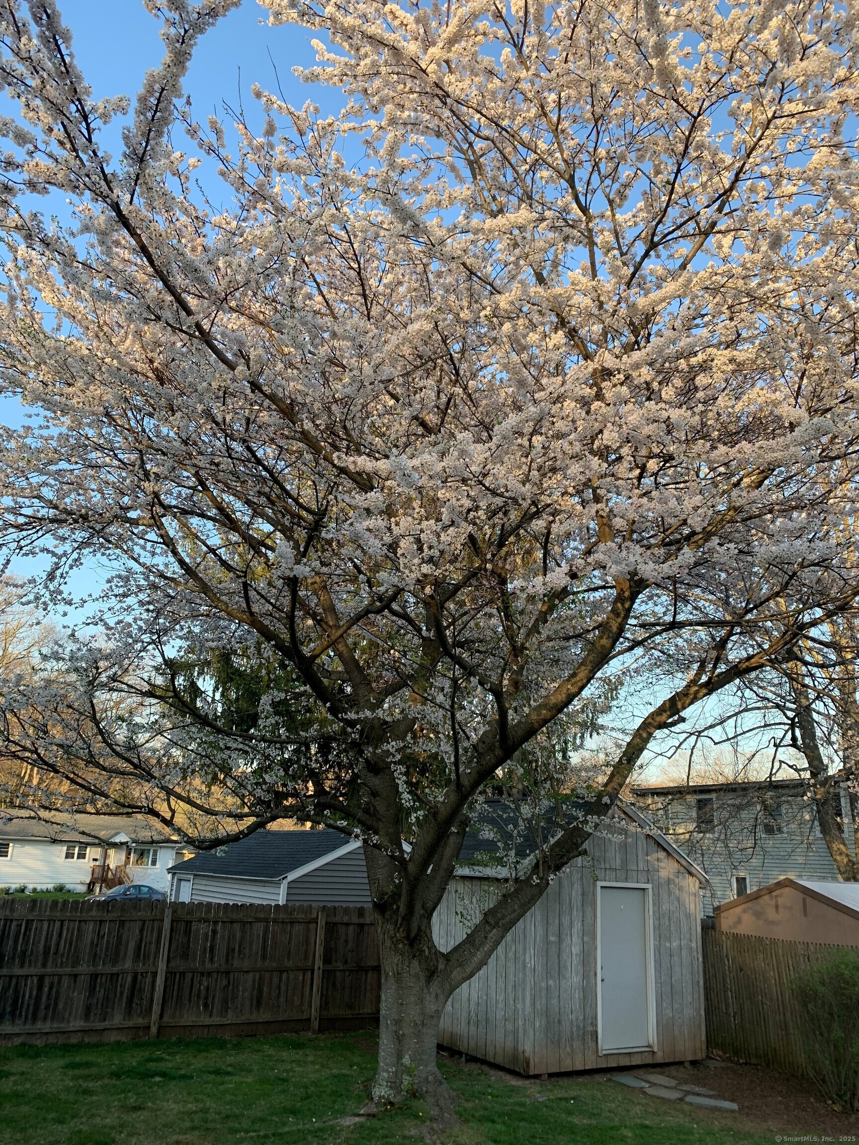 127 Greenhill Terrace, New Haven, Connecticut image 38