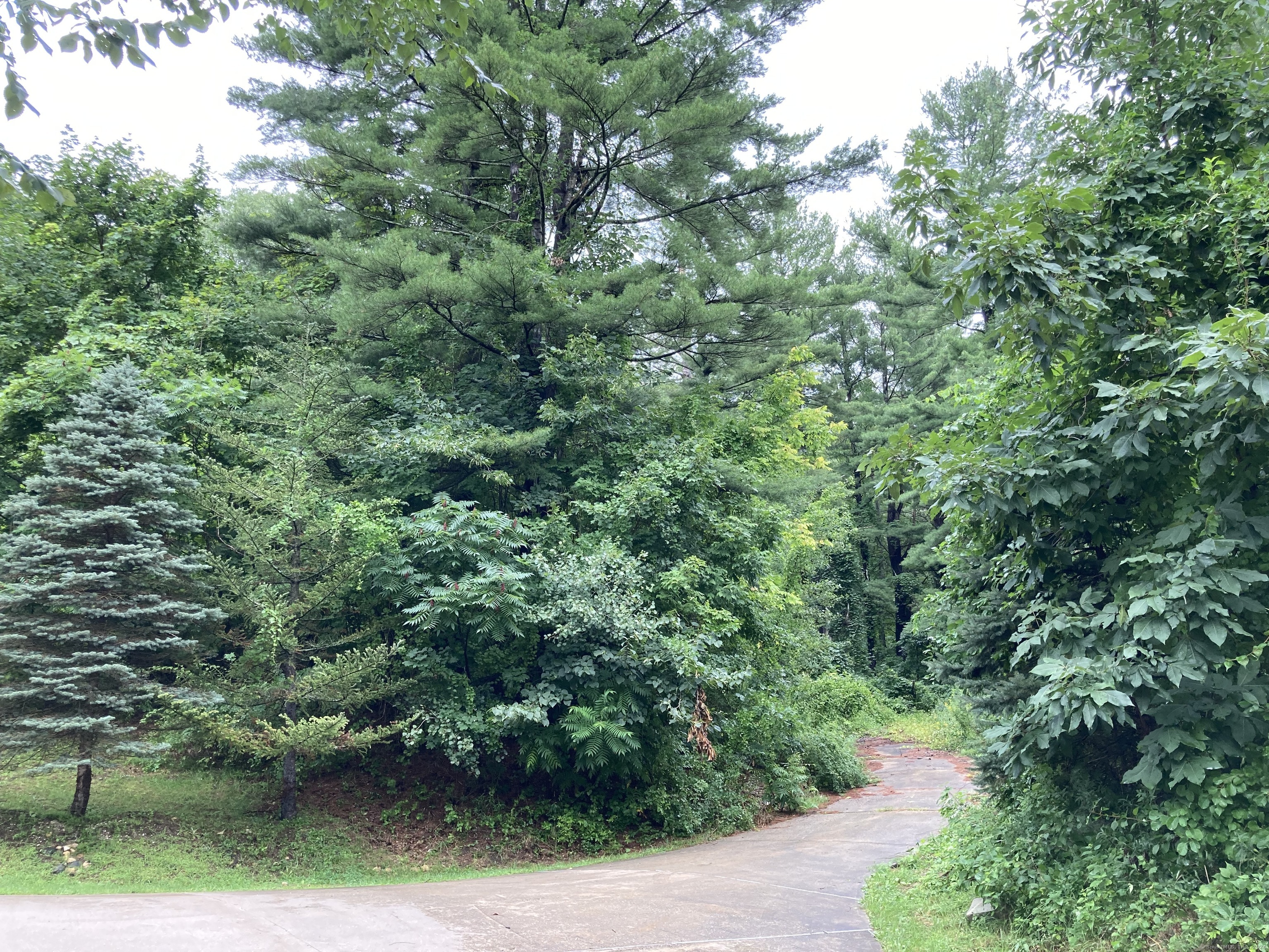 00 Greenwoods Road, Norfolk, Connecticut image 5