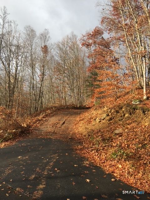 Vacant Land For Sale - 91-A Flatbrook Road #91<br/> East Hampton, CT 06424