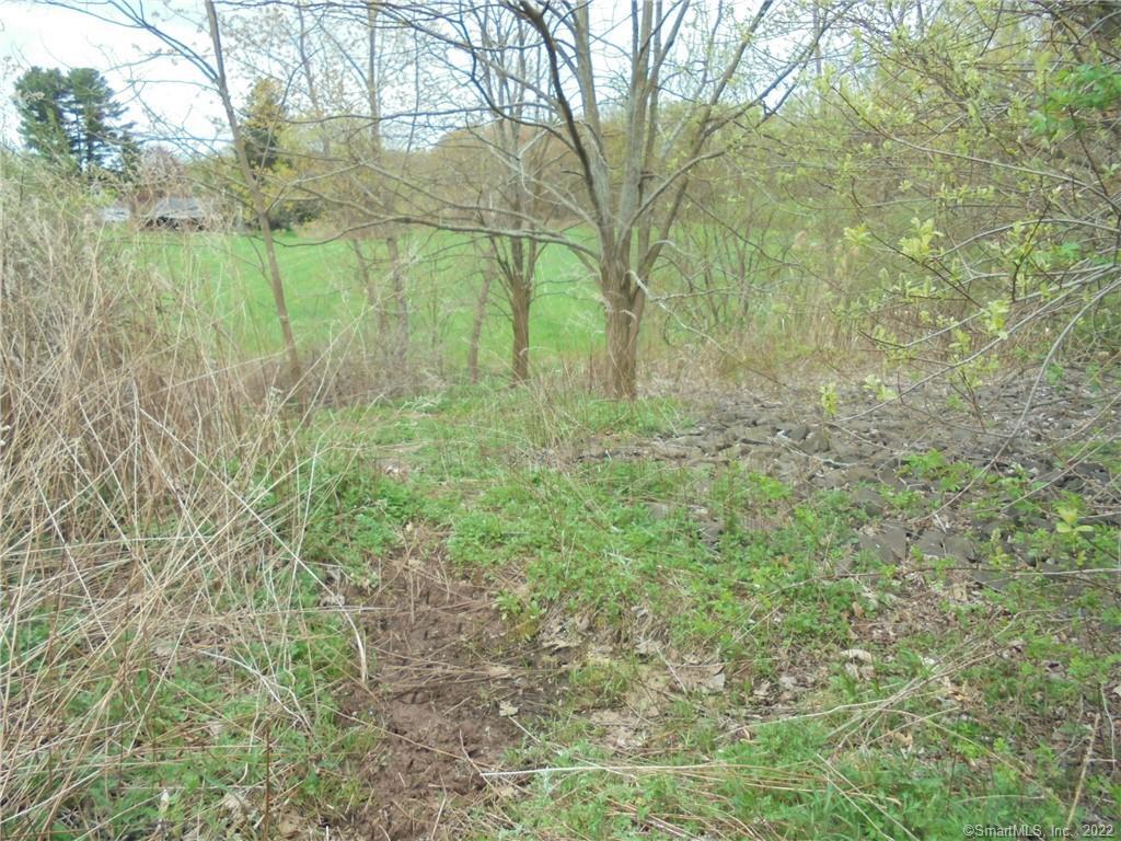 Photo 3 of 24 of 1769 Tolland Street land