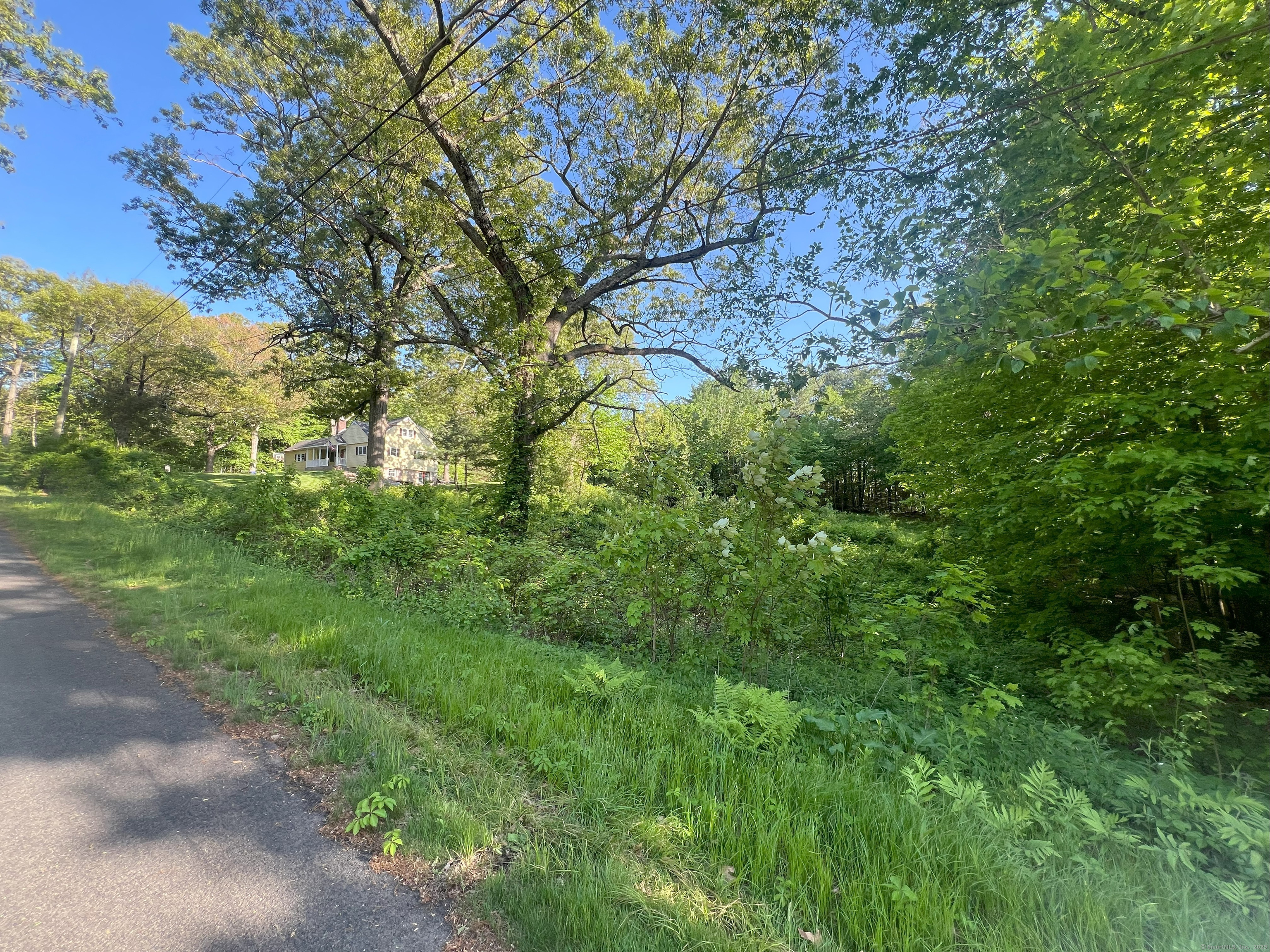 Snipsic Lake Road, Ellington, Connecticut -  - 