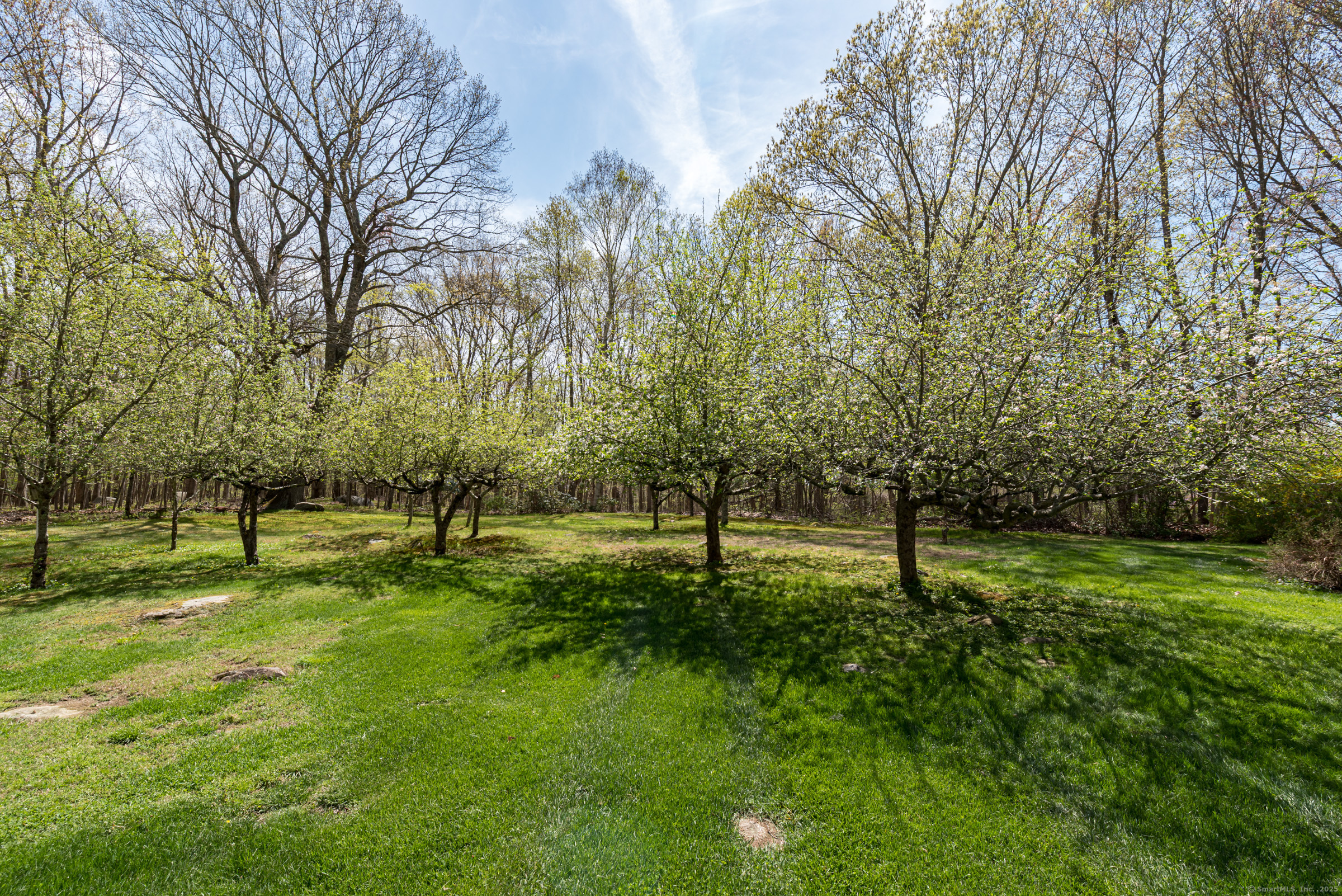 262 Turnpike Road, Willington, Connecticut image 31
