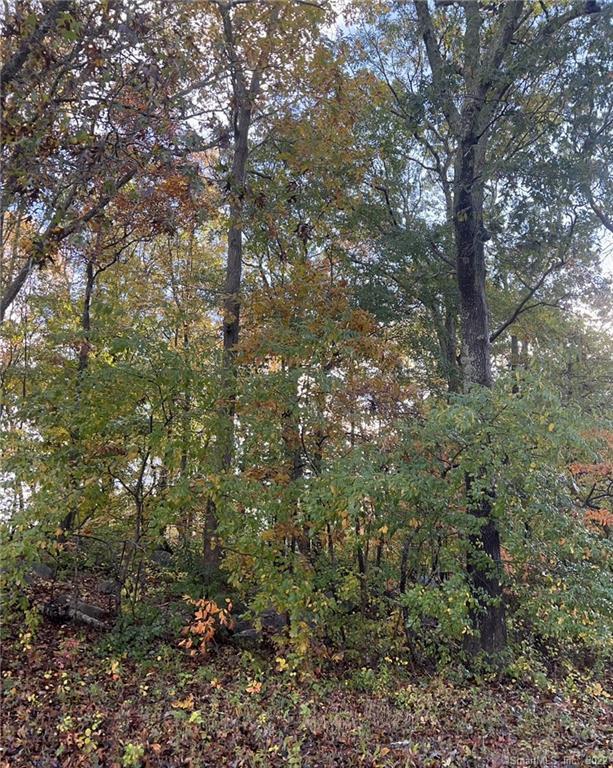 Photo 6 of 7 of 41-1 Whippoorwill Road land