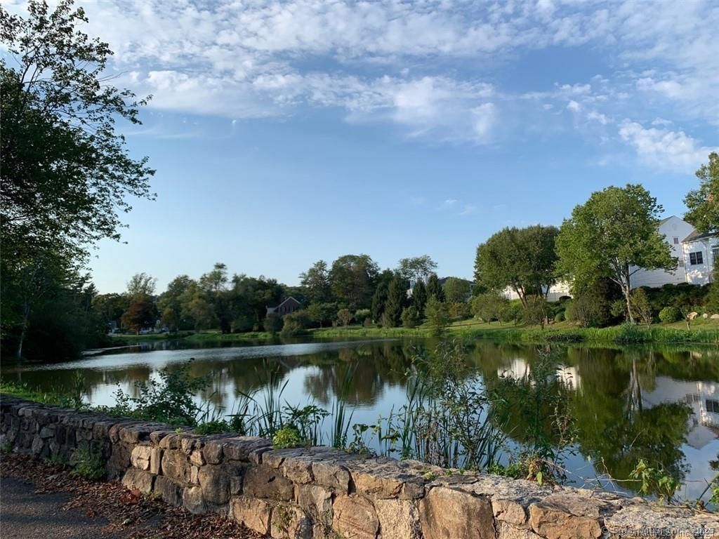 Photo of 202 Park Street #APT 15, New Canaan, CT 06840 (MLS # 24102178)