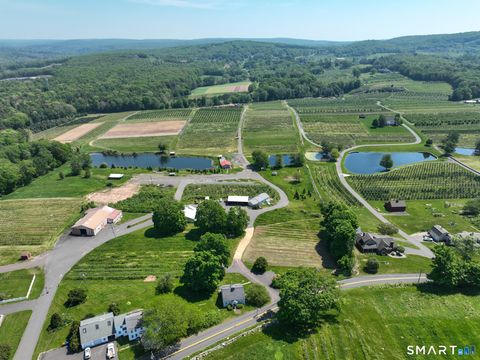 Photo of 309 Matson Hill Road, Glastonbury, CT 06073 (MLS # 24157751)