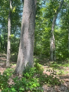 6 Grouse Lane