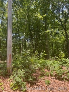 Property for Sale at Grouse Lane, Woodbridge, Connecticut -  - $325,000