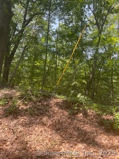 6 Grouse Lane